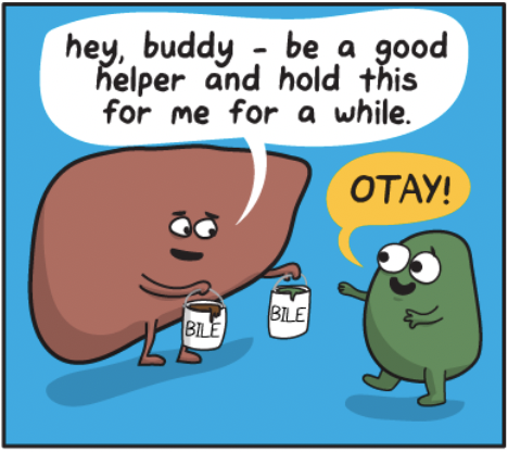 Sad Gallbladder Comics