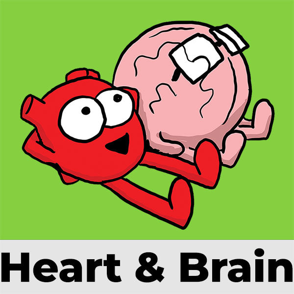Shop by Organ - Heart AND Brain