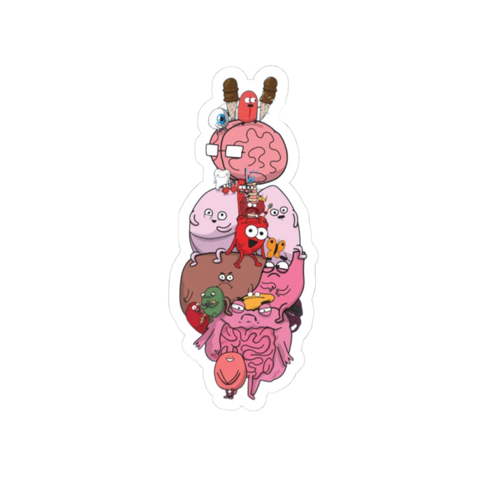 Anatomy Diagram Sticker