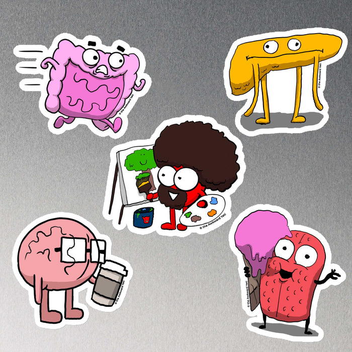 Organ Magnet 5-Pack!
