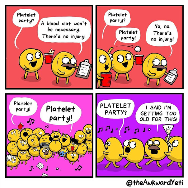 Platelet Party Plushies – the Awkward Store