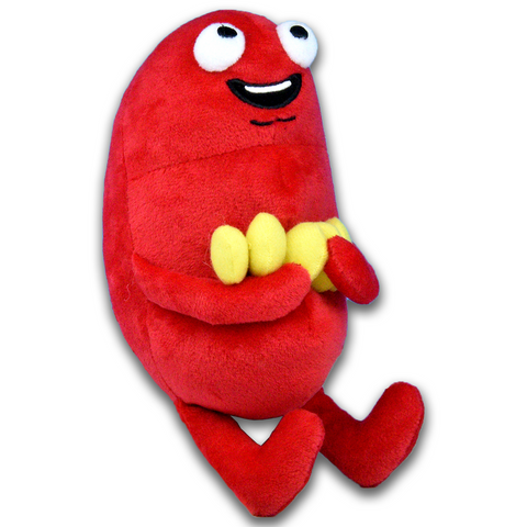 kidney plush toy